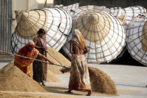 Rural Finance Schemes Miss the Target: An Empirical Analysis of Gender and Social Inequality Effects